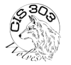 CIS 303